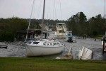 Erics Picture 005.jpg