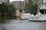 Erics Picture 008.jpg