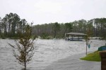 Erics Picture 010.jpg