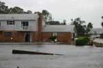 Erics Picture 015.jpg
