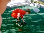 Beach Putt-Putt Joshua