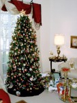 Highlight for Album: Dads House 12-26-2001