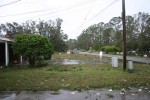 Erics Picture 033.jpg
