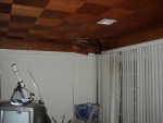 P1010165.jpg